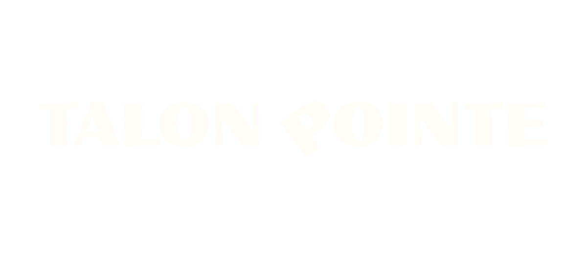 talon-pointe.fr